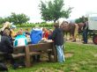 Pause in mitten der Weinberge