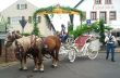 Hochzeit in Seebach/Bad Dürkheim