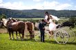 Hochzeit in Ruppertsberg