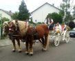 Hochzeit in Neustadt/Wstr.