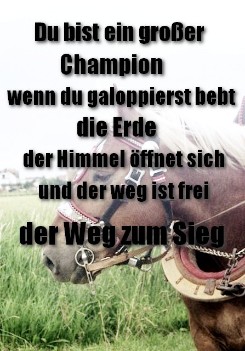 unser Champion unser Champion